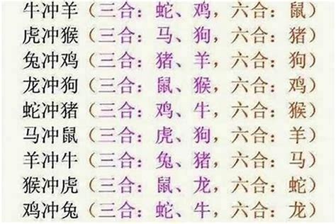 12生肖三合|十二生肖三合、六合、相冲详解